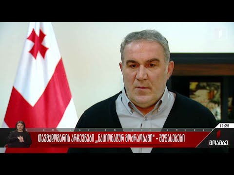 მზადება შიდაპარტიული არჩევნებისთვის „ნაციონალური მოძრაობაში“- შეფასებები